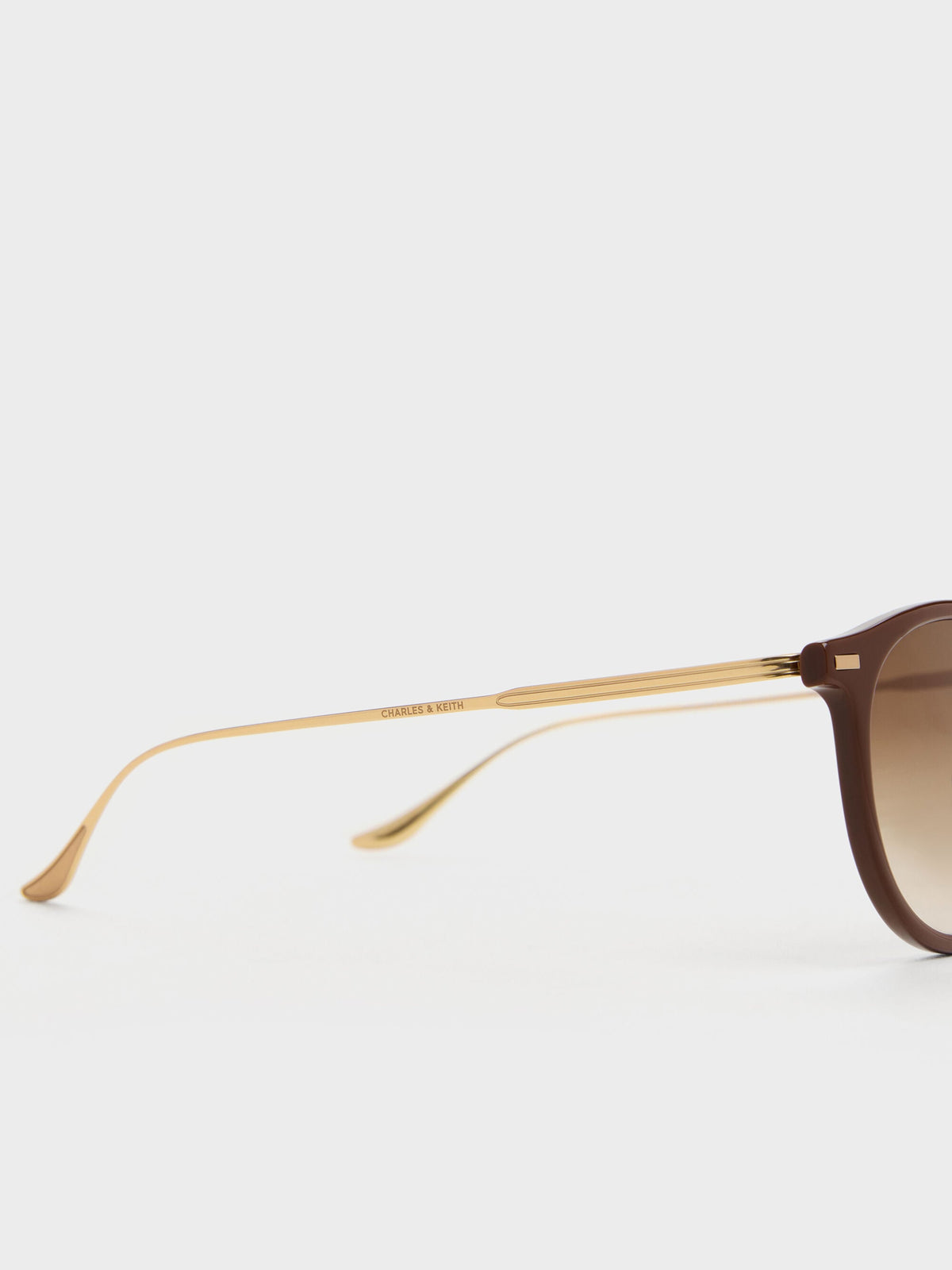 CHARLES & KEITH Recommended / Minnow Metal-Rim Round Sunglasses - Pecan Brown