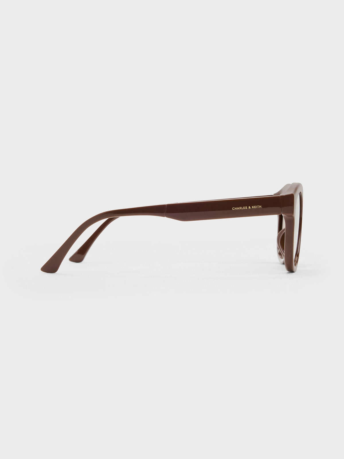 CHARLES & KEITH Smart Buy / Brea Round Sunglasses - Pecan Brown