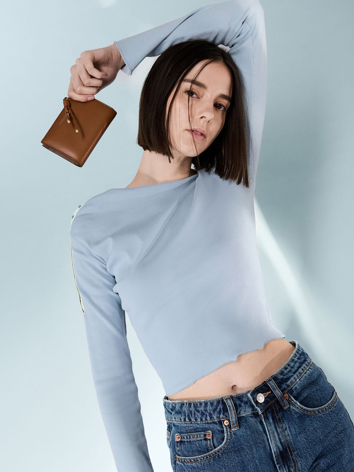 CHARLES & KEITH Classic / Everleigh Wallet - Chocolate