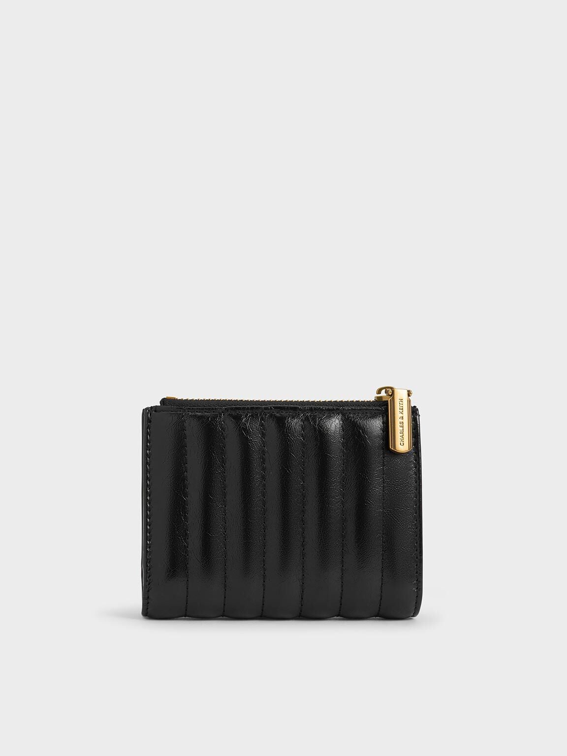 CHARLES & KEITH Trending / Donna Panelled Top-Zip Wallet - Black