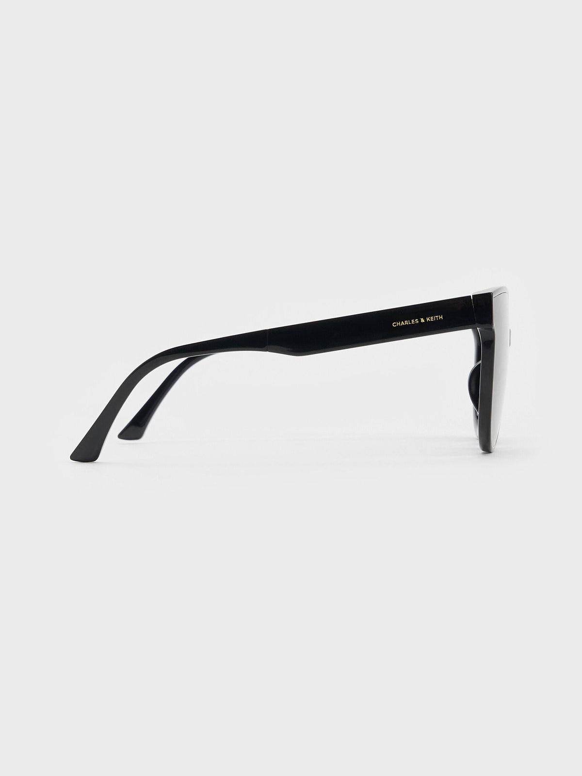 CHARLES & KEITH Deals / Brea Foldable Aviator Sunglasses - Black