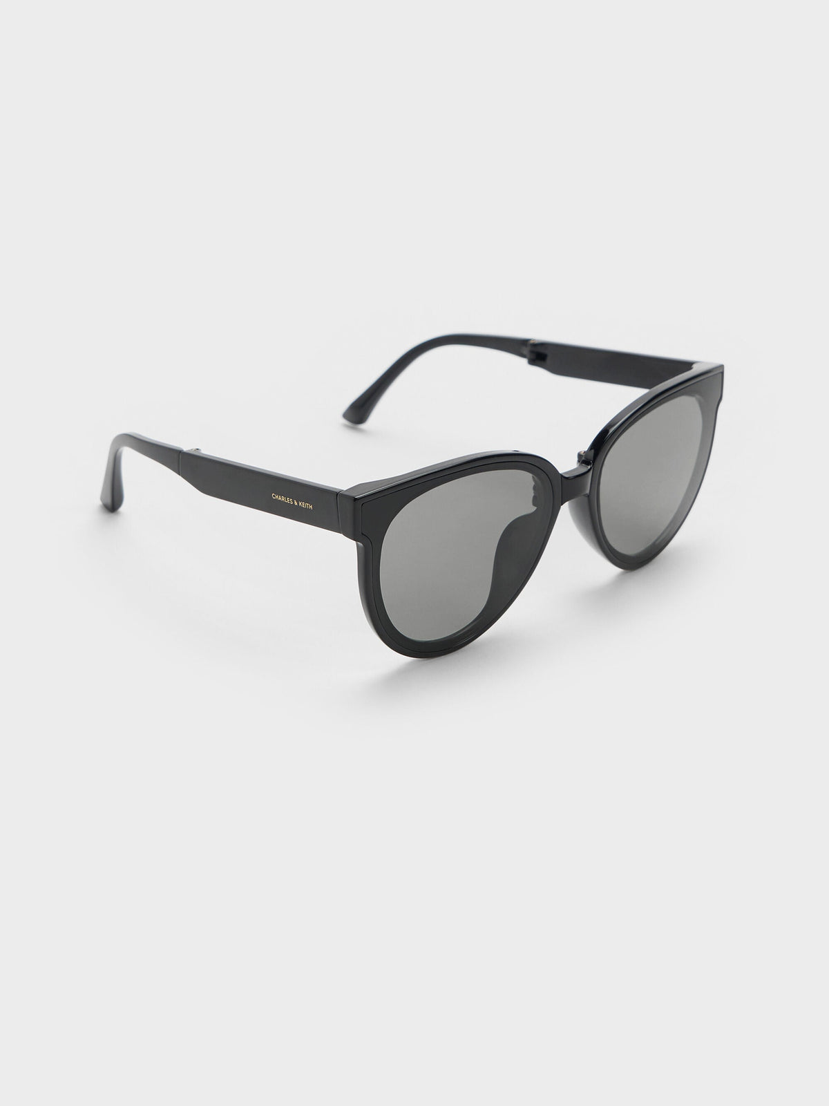 CHARLES & KEITH Deals / Brea Foldable Aviator Sunglasses - Black