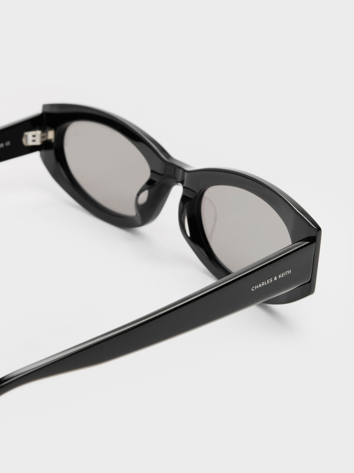 CHARLES & KEITH Classic / Aubrey Oval Sunglasses - Noir