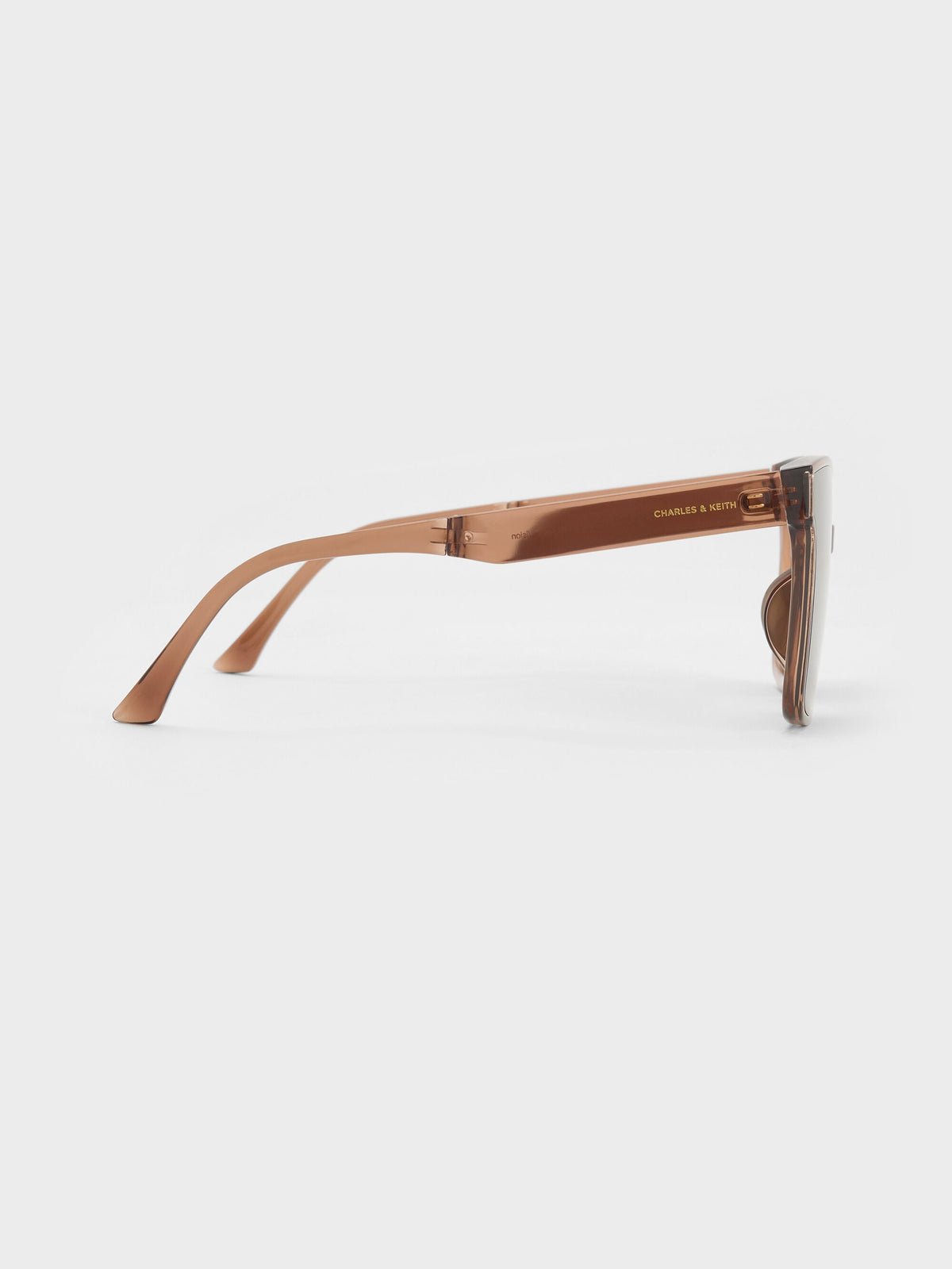 CHARLES & KEITH Essential / Brea Foldable Sunglasses - Chestnut Brown