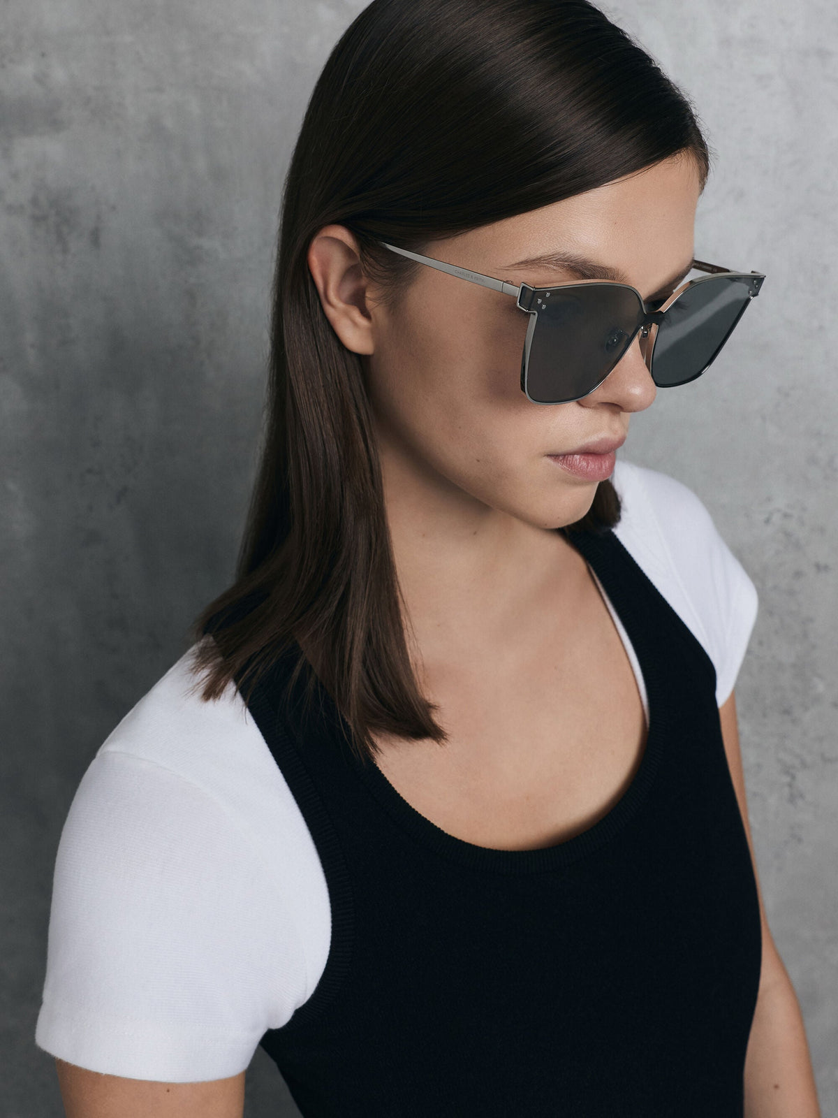 CHARLES & KEITH Premium / Ginny Butterfly Sunglasses - Silver
