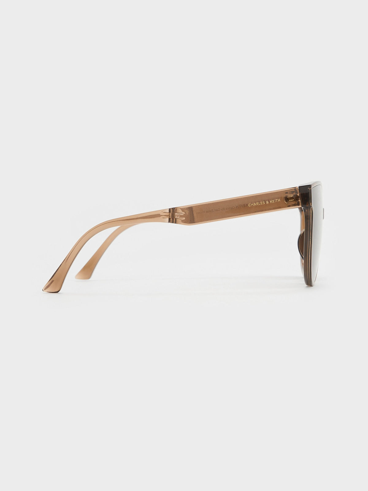 CHARLES & KEITH Premium / Brea Foldable Aviator Sunglasses - Chestnut Brown