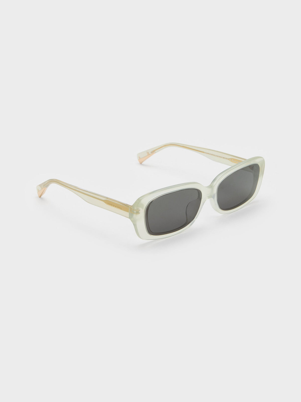 CHARLES & KEITH Deals / Aubrey Rectangular Sunglasses - Mint Green